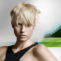 Barbaros - Honor Oak Park Hair Salon